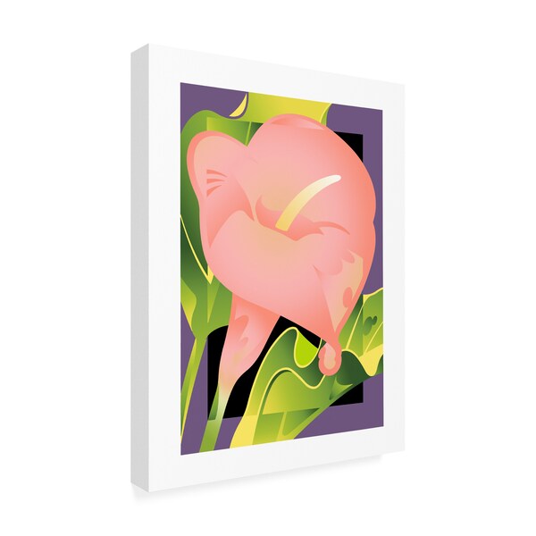 David Chestnutt 'Calla Pink' Canvas Art,24x32